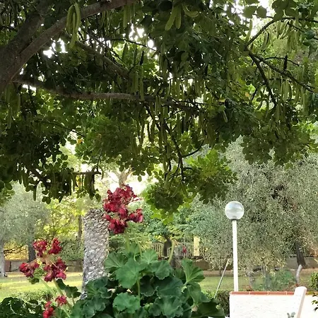 Il Carrubo - Basilicata ピスティッチ