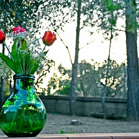 Apartment Il Carrubo - Basilicata Pisticci