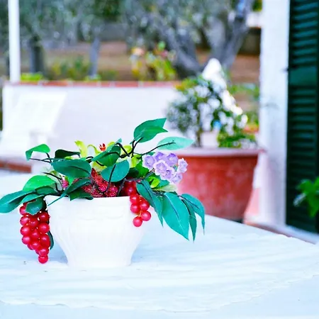 Il Carrubo - Basilicata * Pisticci