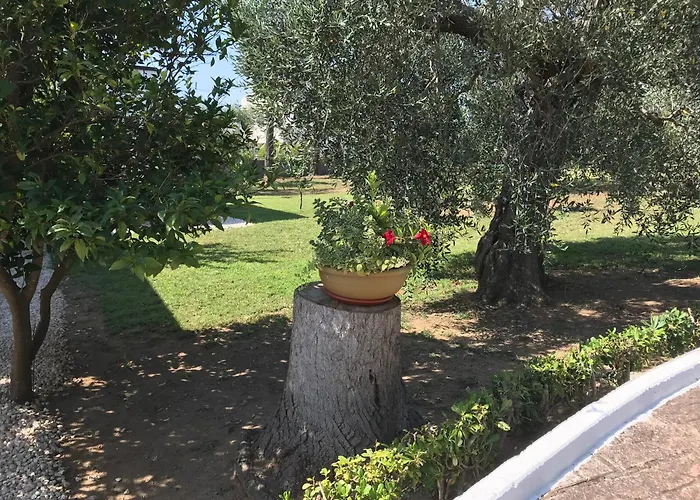 Il Carrubo - Basilicata * Pisticci