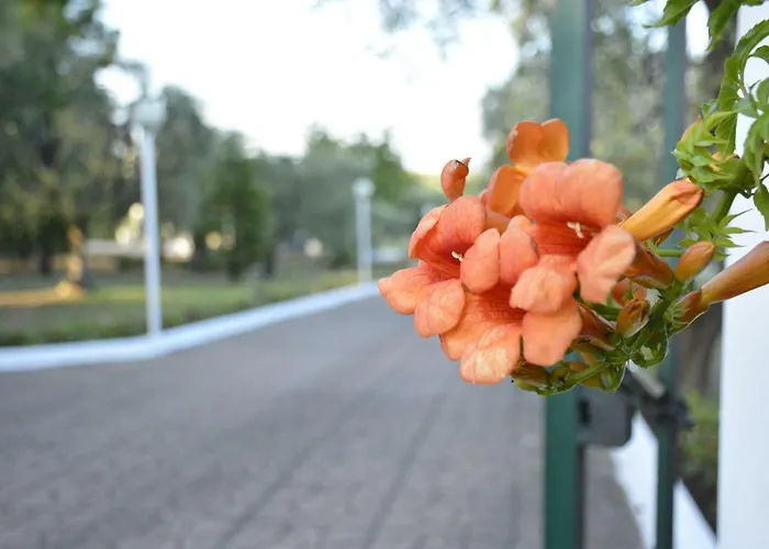 Apartamento Il Carrubo - Basilicata *