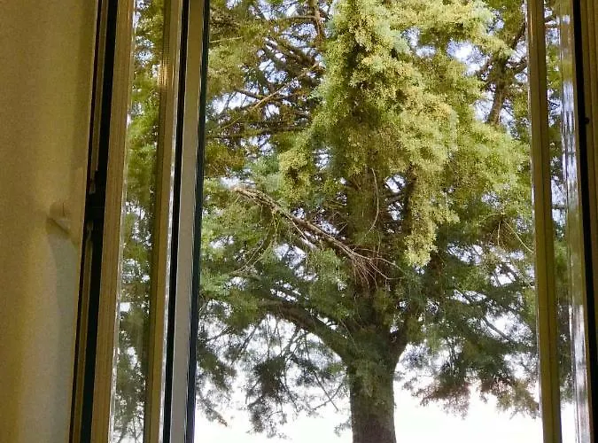 Apartamento Il Carrubo - Basilicata *