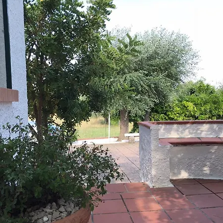 Il Carrubo - Basilicata Apartman *