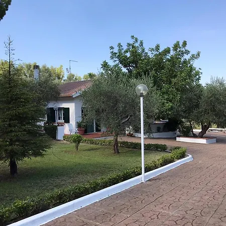 Il Carrubo - Basilicata Pisticci