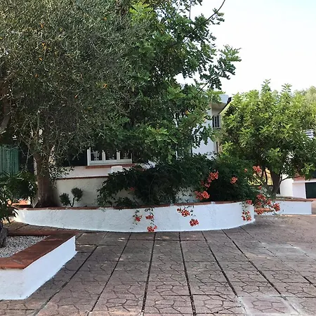 Il Carrubo - Basilicata Apartment
