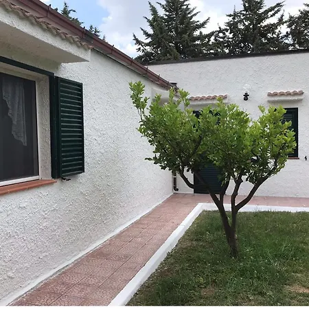 Il Carrubo - Basilicata Apartment *