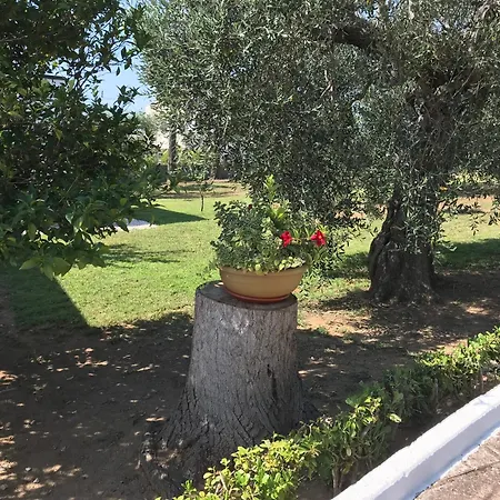 Il Carrubo - Basilicata * Pisticci