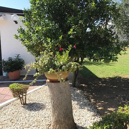 Il Carrubo - Basilicata Apartment
