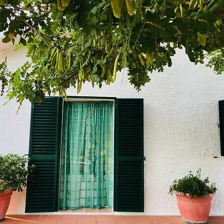 Il Carrubo - Basilicata