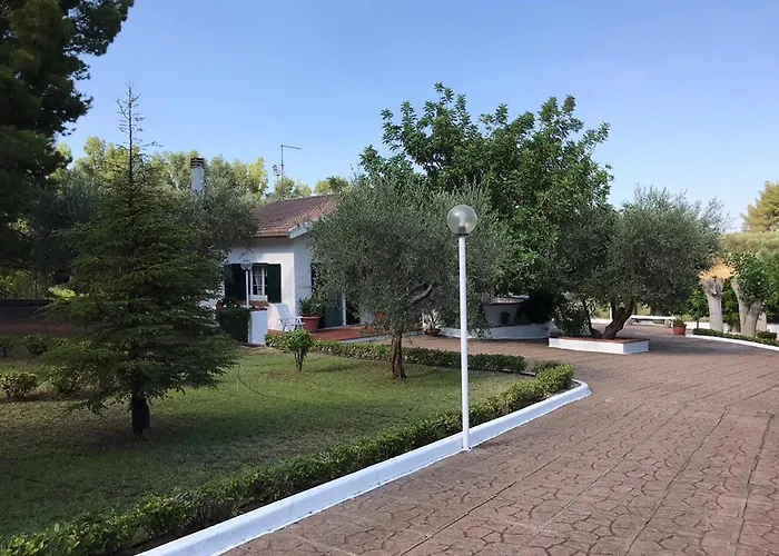 Il Carrubo - Basilicata Pisticci