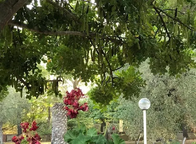 Il Carrubo - Basilicata Pisticci