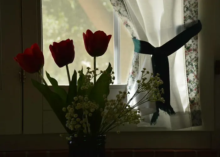 Apartment Il Carrubo - Basilicata *