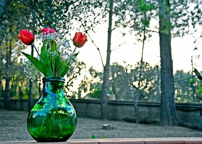 Appartamento Il Carrubo - Basilicata Pisticci