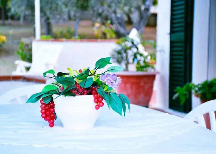 Il Carrubo - Basilicata * Pisticci