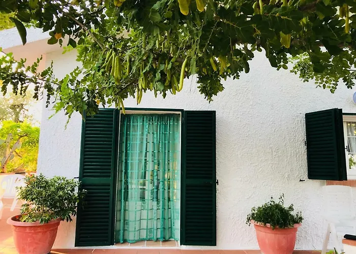 Il Carrubo - Basilicata